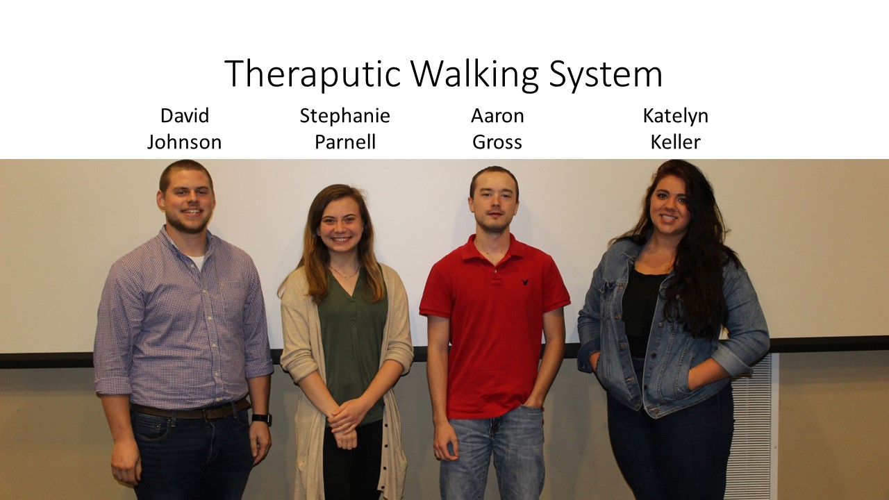 Theraputic Walking System.JPG
