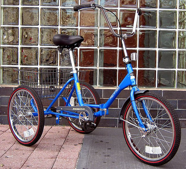 S14 P2 Purchased Tricycle.jpg
