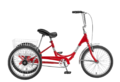 Red Tricycle.png